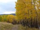 photo thumbnail #12
