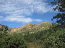 photo thumbnail #1