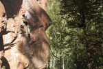 photo thumbnail #8