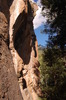 photo thumbnail #10