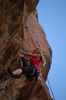 photo thumbnail #15