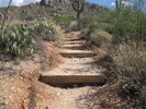 photo thumbnail #5
