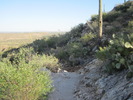 photo thumbnail #7
