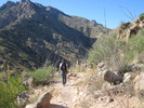 photo thumbnail #9