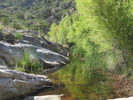 photo thumbnail #12