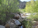 photo thumbnail #14