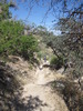 photo thumbnail #15
