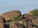 photo thumbnail #3