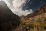 photo thumbnail #15