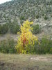 photo thumbnail #1