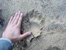 photo thumbnail #9