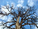 photo thumbnail #10
