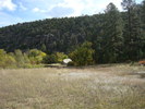photo thumbnail #13
