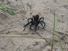 photo thumbnail #14