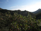 photo thumbnail #4