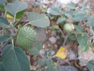 photo thumbnail #11