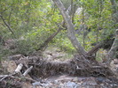photo thumbnail #15