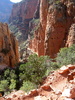 photo thumbnail #15