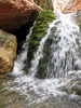 photo thumbnail #8