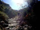 photo thumbnail #8