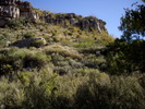 photo thumbnail #9