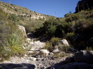 photo thumbnail #11