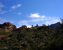 photo thumbnail #11