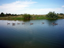 photo thumbnail #9