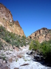 photo thumbnail #12