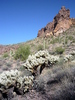 photo thumbnail #14