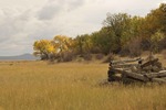 photo thumbnail #5