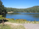 photo thumbnail #1
