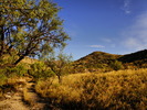 photo thumbnail #1
