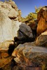 photo thumbnail #4