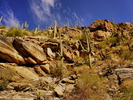 photo thumbnail #5