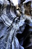 photo thumbnail #14
