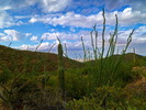photo thumbnail #4