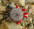photo thumbnail #5