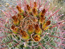 photo thumbnail #9