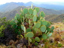 photo thumbnail #14