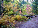 photo thumbnail #5