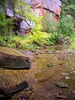 photo thumbnail #11