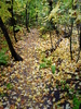 photo thumbnail #12