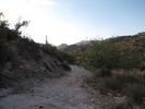 photo thumbnail #1
