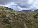 photo thumbnail #6