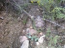 photo thumbnail #10