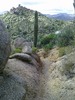 photo thumbnail #11
