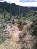 photo thumbnail #12