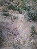 photo thumbnail #13