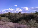 photo thumbnail #14